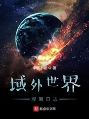 《域外世界观测日志》小说封面